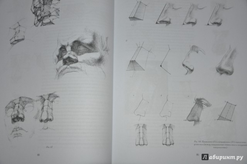 Николай ли академический рисунок читать