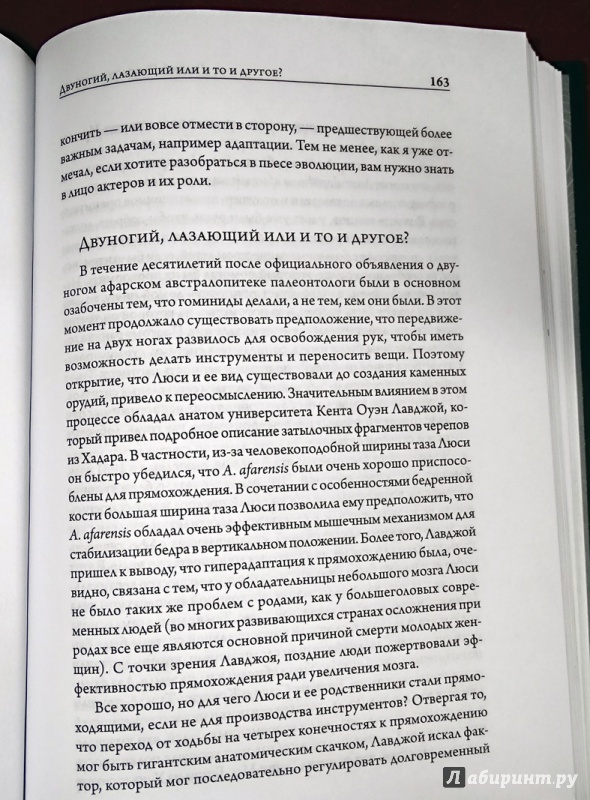 Таттерсаль скелеты в шкафу