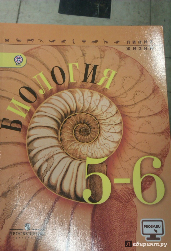 Учебник биологии 6 класс пасечник 2022