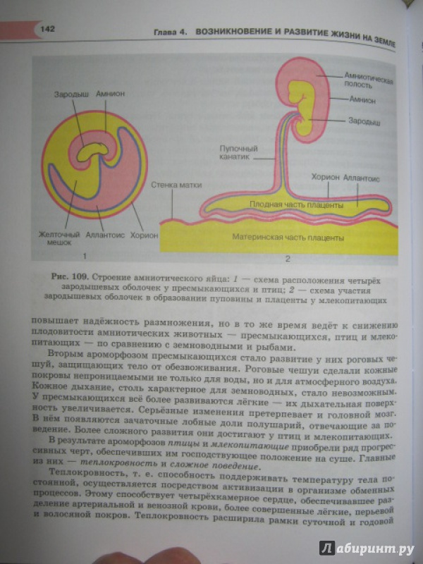 Учебник 11кл теремов петросова общая биология