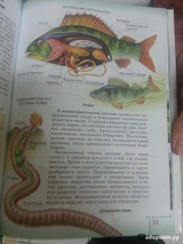 Учебник биологии 8 класс сонин читать