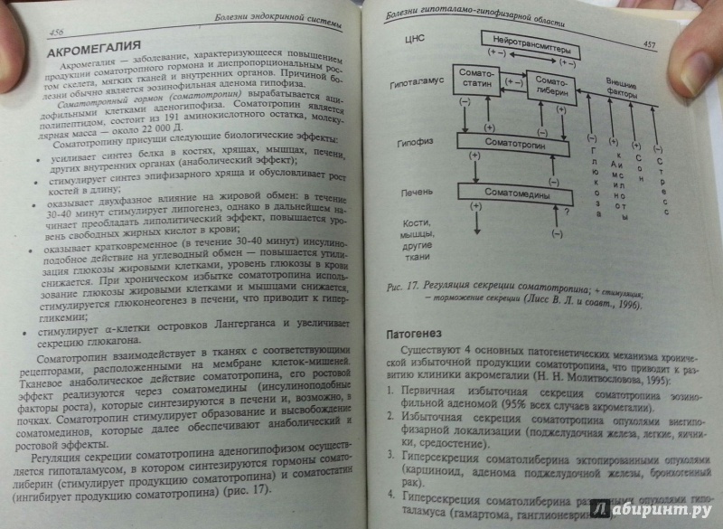 Миниатюра 5