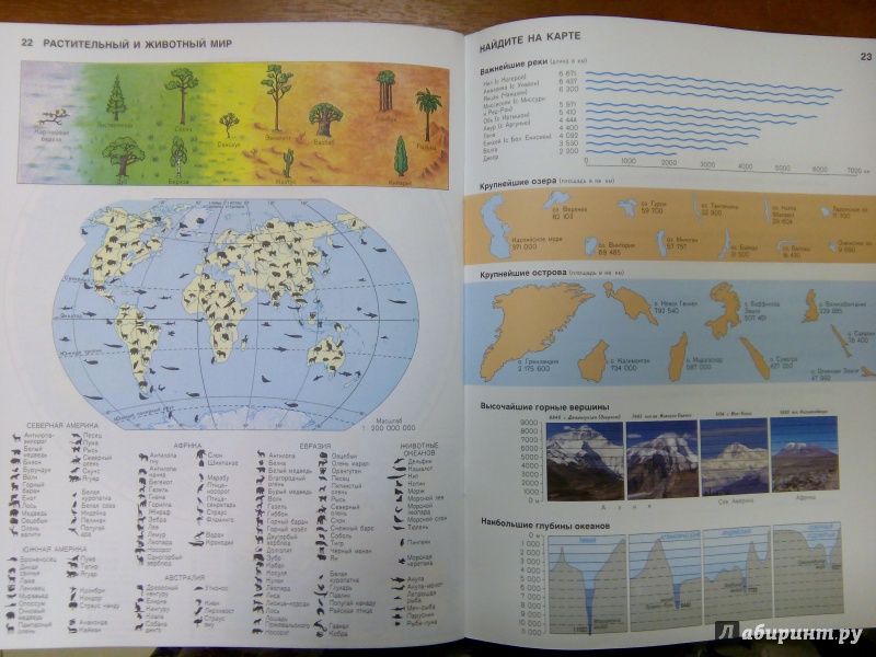 Физическая география 6. Атлас по географии 6 класс Летягин. Атлас физическая география 6 класс. Атлас животных география 6 класс. Атлас физическая география начальный курс 6 класс.