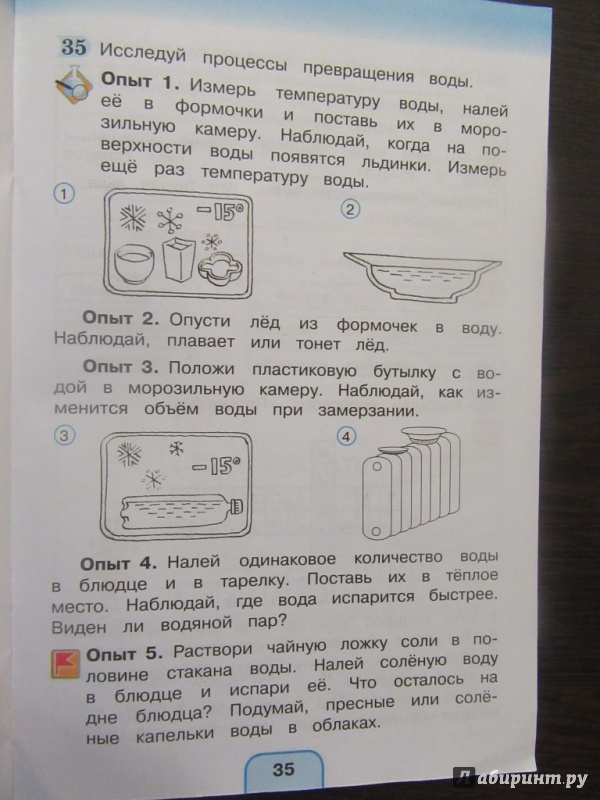 Найди нужную информацию на рисунке и заполни схемы окружающий мир 2 класс поглазова