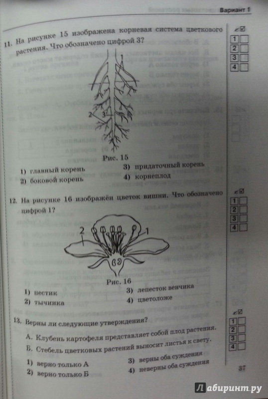 Тесты по биологии 6 класс н.и.сонин