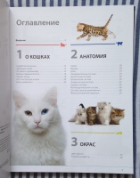 Книга: "Кошки. Самая полная иллюстрированная энциклопедия" - Дудникова ...