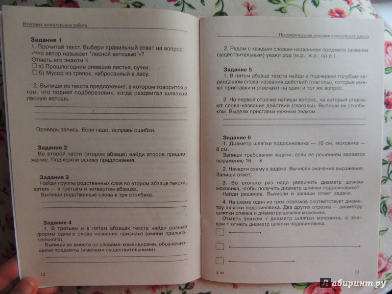 итоговая комплексная работа 2 класс чуракова решебник