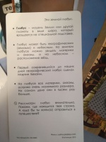 Изображение отзыва