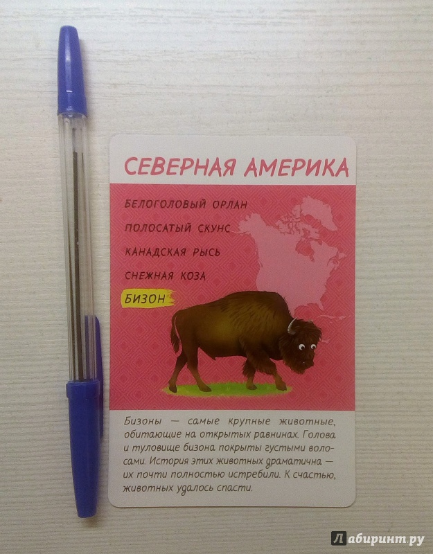 Карточные Настольные Игры Распечатать