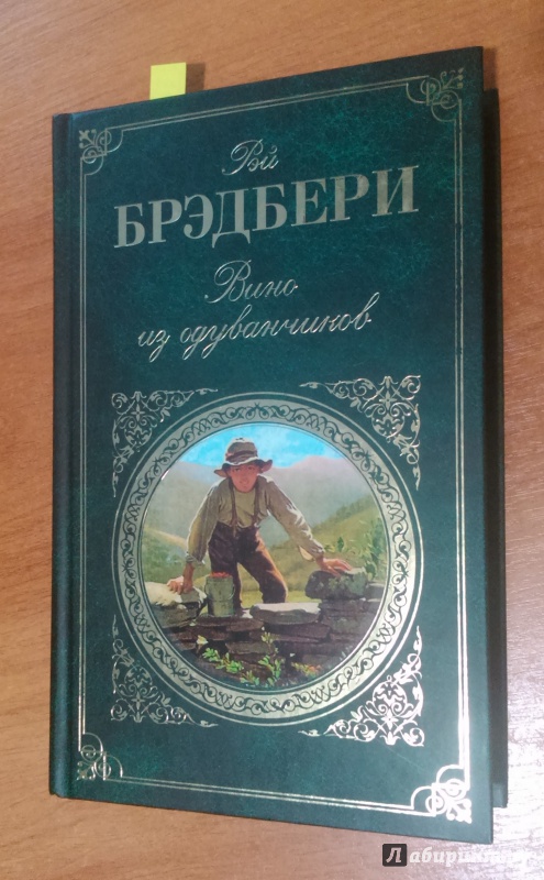 Книга вино из одуванчиков картинки