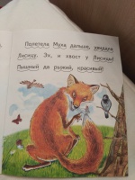 Изображение отзыва