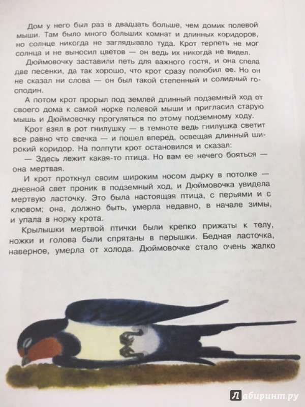 О чем молчит ласточка книга. Рейс ласточки Богомолов рисунок. Владимир Богомолов рейс ласточки. Возвращение в ласточку книга.