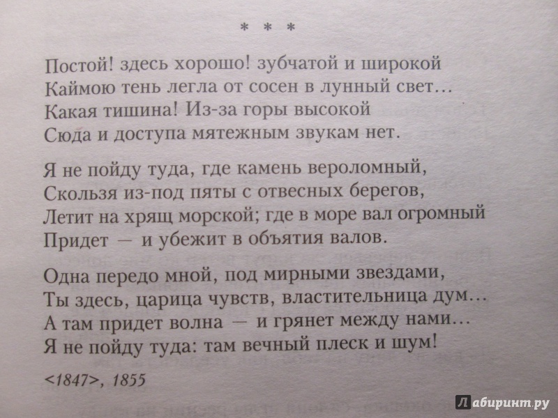 Шепот робкое дыханье анализ стихотворения