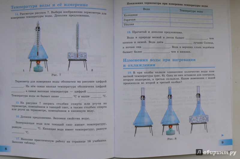 Никишов 8 вид 6 класс