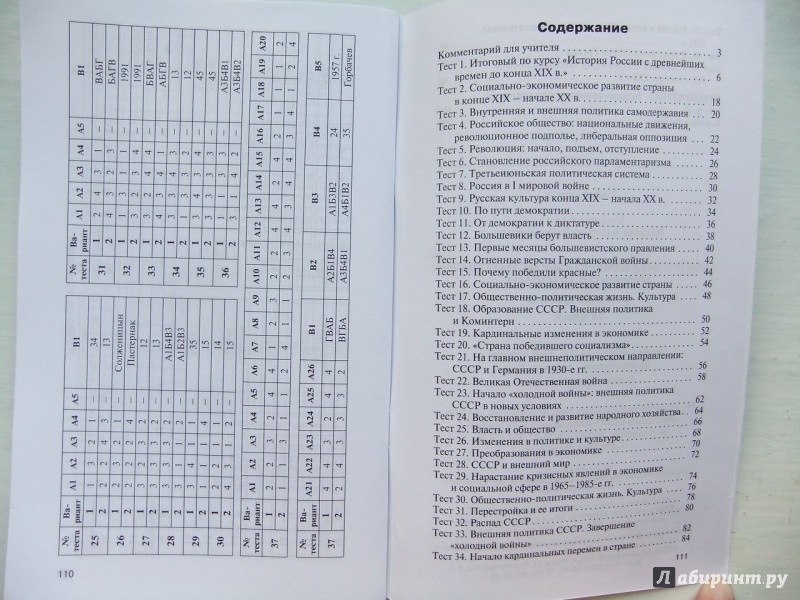 Учебник 10-11 класса по истории росси