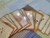 Иллюстрация 5 из 26 для Хранительницы сада. Цветочные истории для ...