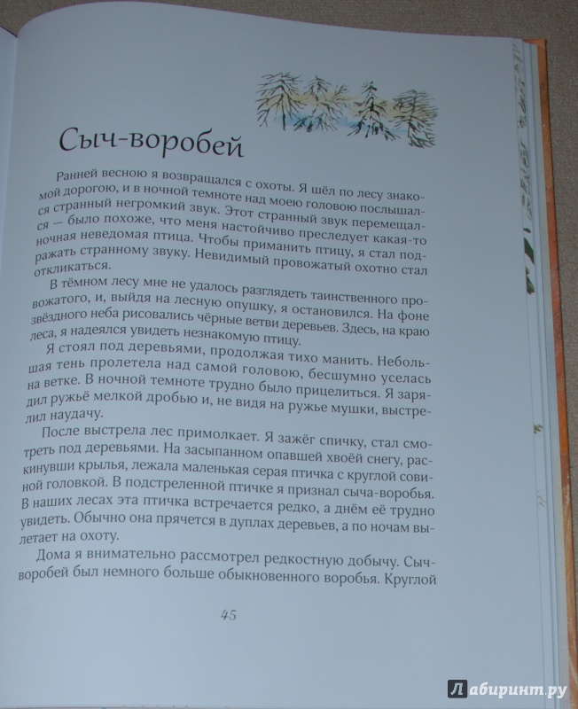 План текста русский лес соколов микитов 4 класс