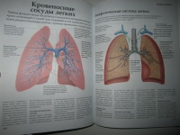Книга: "Анатомия человека. Тело. Как это работает". Купить книгу ...