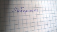 Изображение отзыва