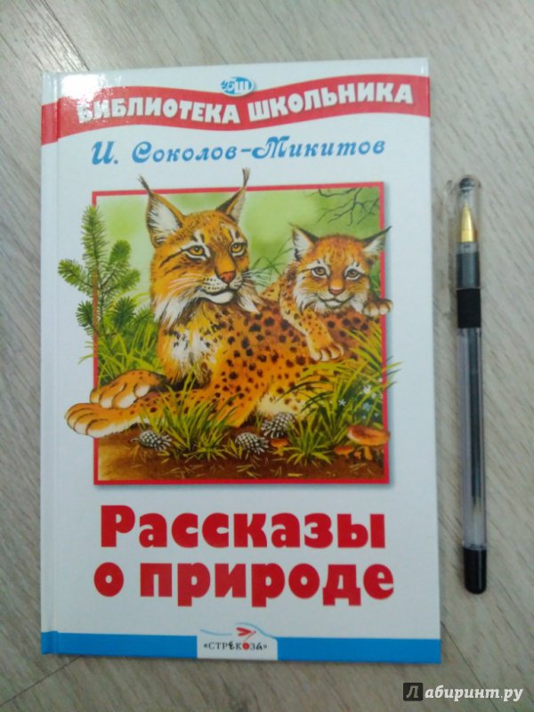 Соколов микитов русские сказки о природе 3 класс презентация