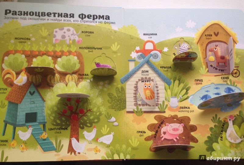Изображение