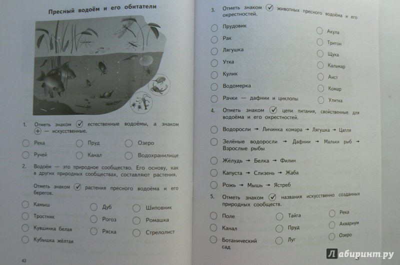 Окружающий 3 класс проверочные. Окружающий мир в тестовой форме. Окружающий мир 4 класс проверочные работы Чуракова. Проверочные работы в тестовой форме - Кудрова, Чуракова. Окружающий мир 3 класс Чуракова проверочные работы в тестовой форме.