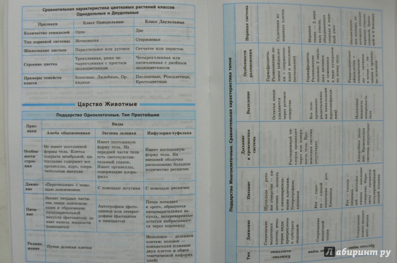 Биология в таблицах и схемах издание 2е спб 2004