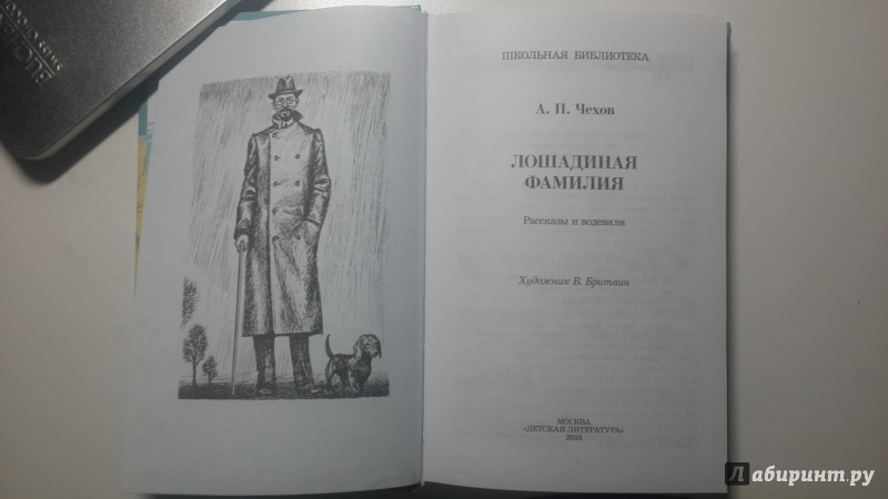 Тест по лошадиной фамилии. Лошадиная фамилия Чехов иллюстрации. Лошадиная фамилия Чехов сколько страниц. Сколько страниц в книге Лошадиная фамилия.