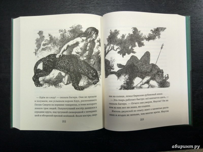 Иллюстрация 4 из 15 для Маугли — Редьярд Киплинг | Лабиринт — книги. Источник: Зайцев Константин