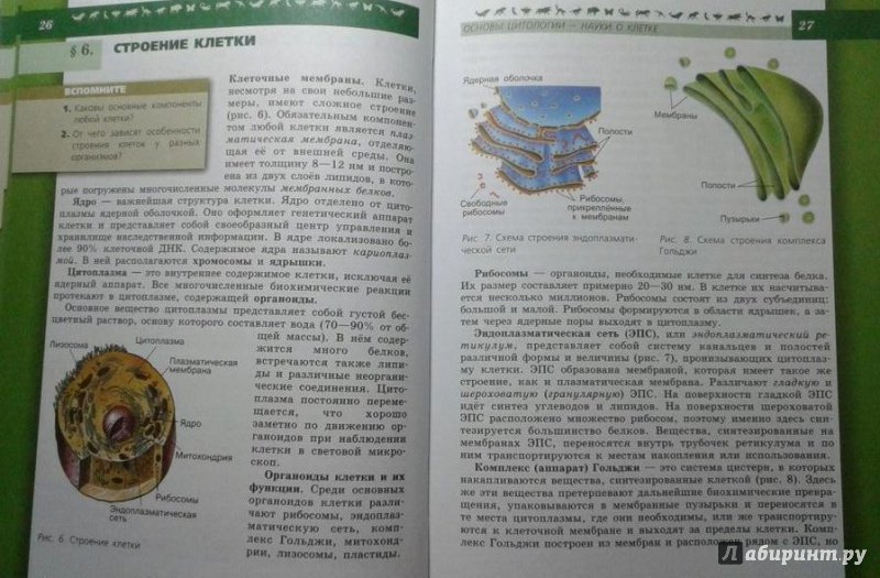 Гдз в учебнике по биологии каменский Гдз в учебнике по биологии каменский