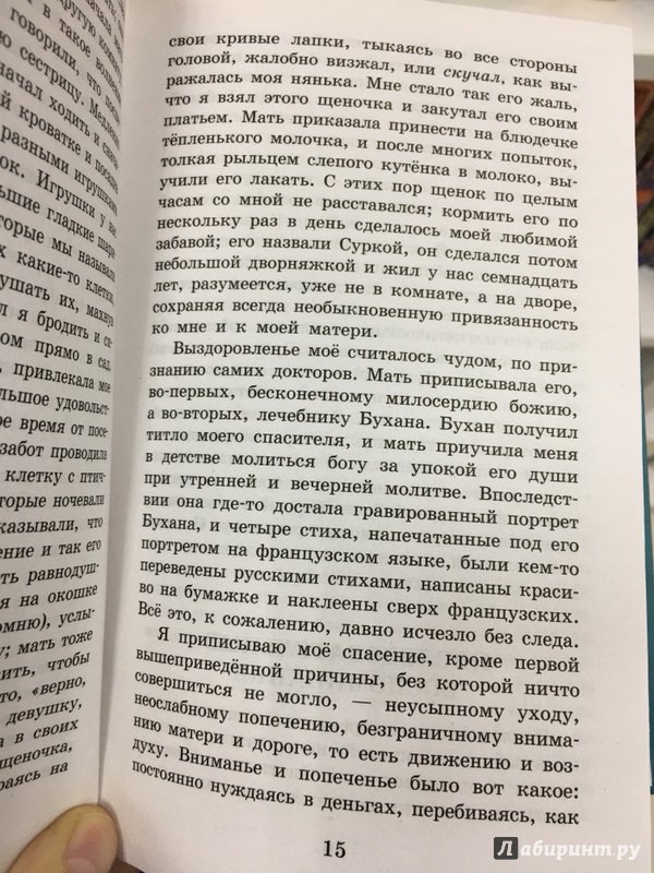 Детские годы багрова внука план рассказа