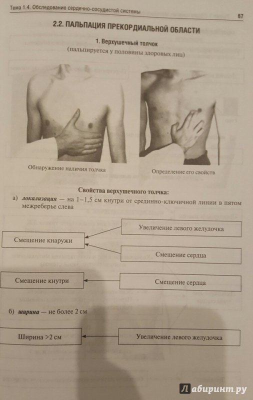 Пропедевтика внутренних. Таблицы по пропедевтике внутренних болезней. Синдромы пропедевтика внутренних болезней таблица. Пропедевтика внутренних болезней в рисунках таблицах и схемах. Таблица синдромов пропедевтика.