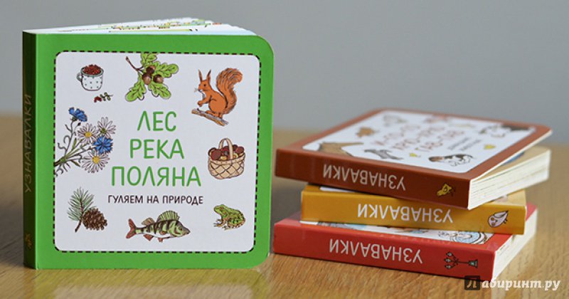 Миниатюра 3