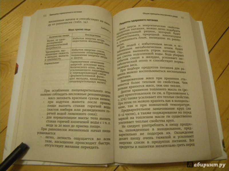 Современное руководство по грумингу записки с грумерского стола