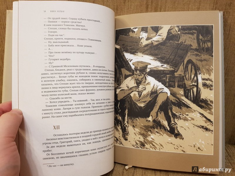 Тихий дон картинки книги