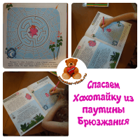 Изображение отзыва