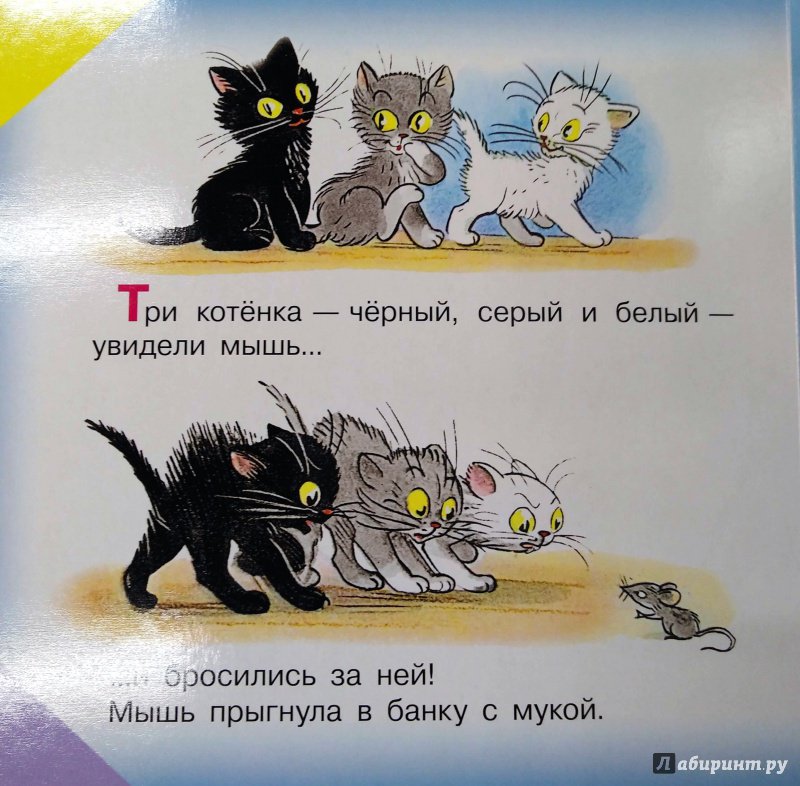 Три котенка слова. Три котёнка книга. Сутеев 3 котенка. Рассказ 3 котенка. Книга Сутеева три котенка.