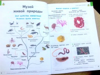 Итоговое повторение окружающий мир 4 класс презентация