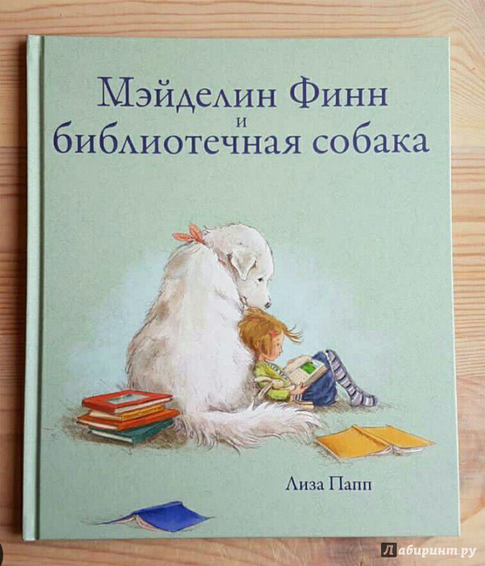 Собака читает книгу картинки