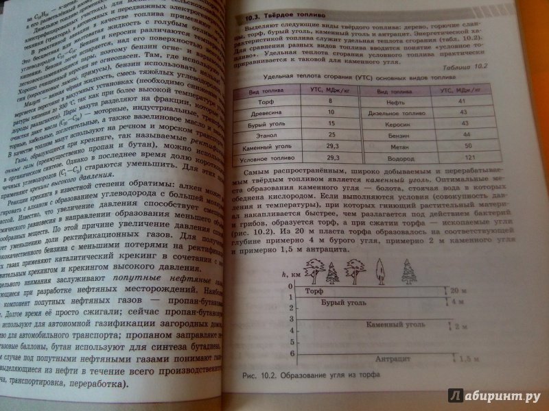 Амины презентация 10 класс углубленный уровень