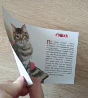 Изображение отзыва