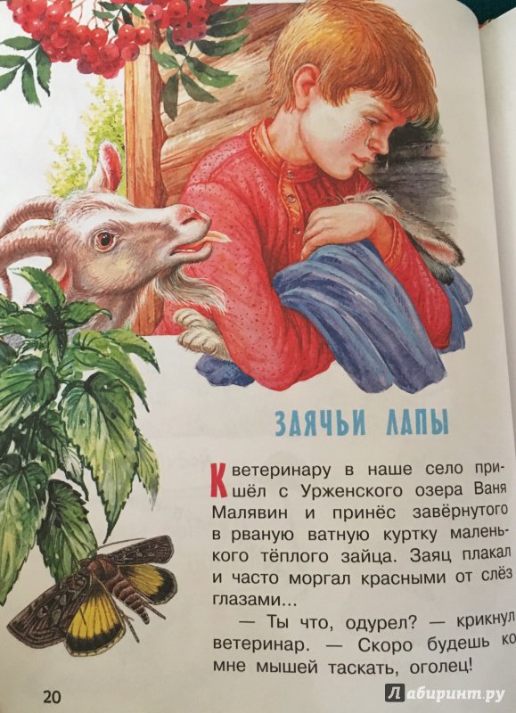 План рассказа заячьи лапы