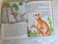 Изображение отзыва