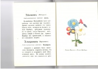 Книга: "Язык цветов или описание эмблематических значений, символов ...