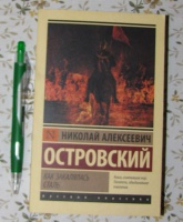 Электронная книга как закалялась сталь