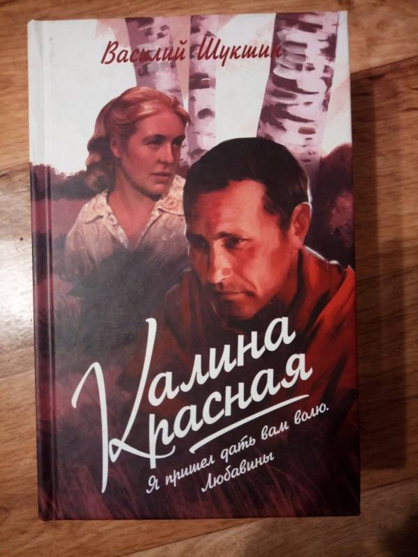 Владимир евтодеев калина красная