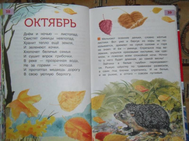 В книге 160 страниц рисунки