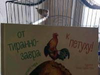 Изображение отзыва