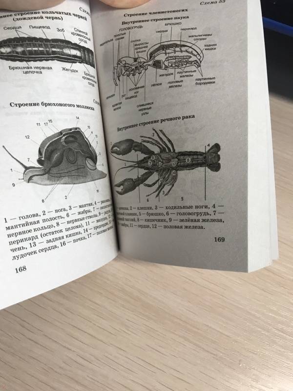 Маталин биология в таблицах и схемах