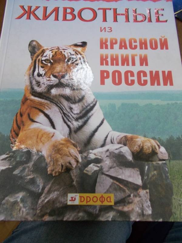 Животные красной книги республики беларусь для детей картинки